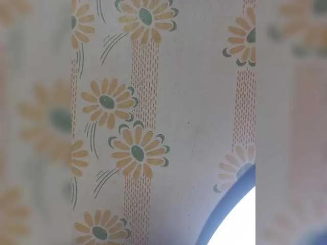 VselenaSun402 — I like to excite men and make their day happier
I love all caresses and passion.
ike to show flirtation and sexuality