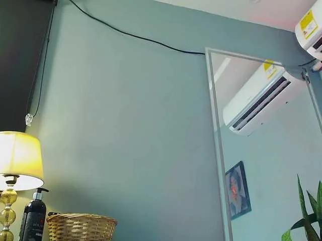 Offline zoeyfox on BongaCams