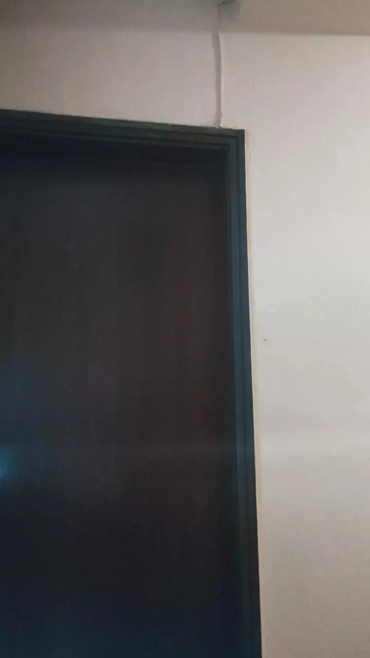 Allanasex on Cam4 