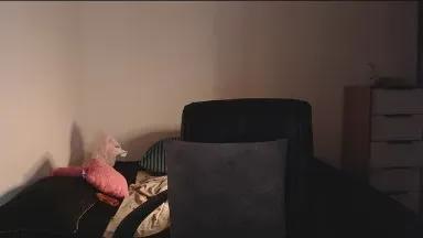 Offline ANALGEISHA on Cam4