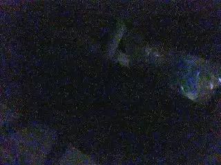 Offline bedui on Cam4