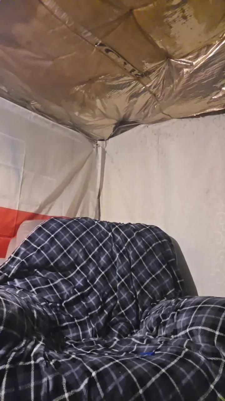 Offline Chavbear on Cam4