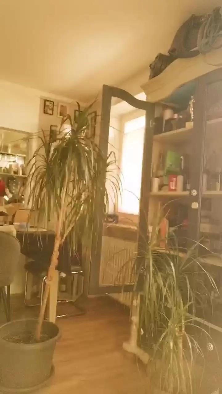 Offline Dani4490 on Cam4