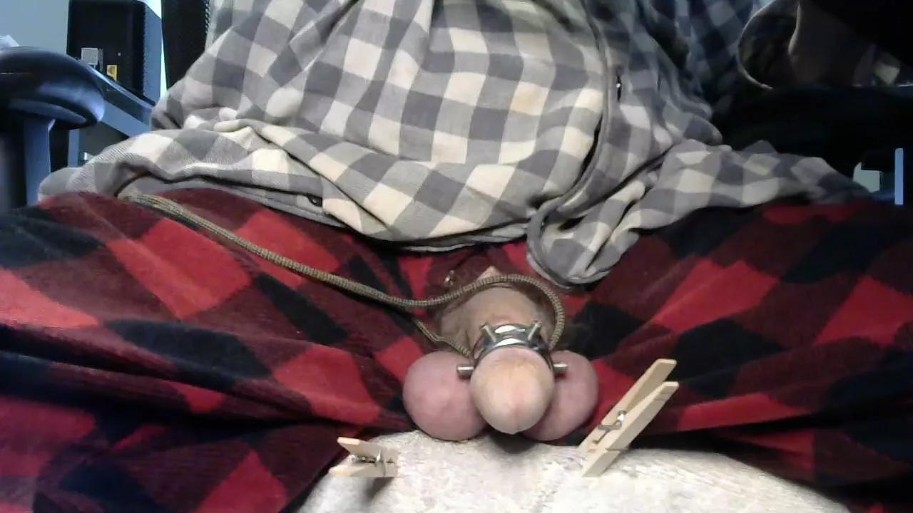freewillie1234 on Cam4 