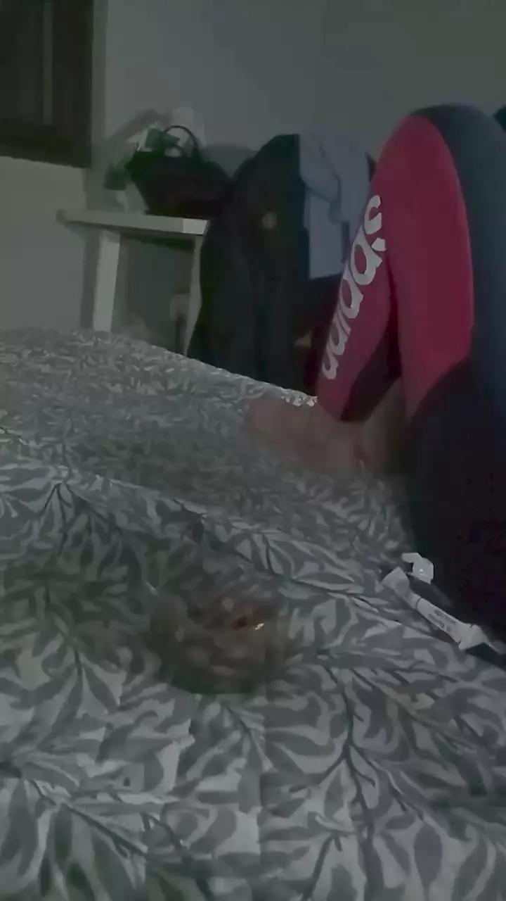 Hiddenstefi on Cam4 
