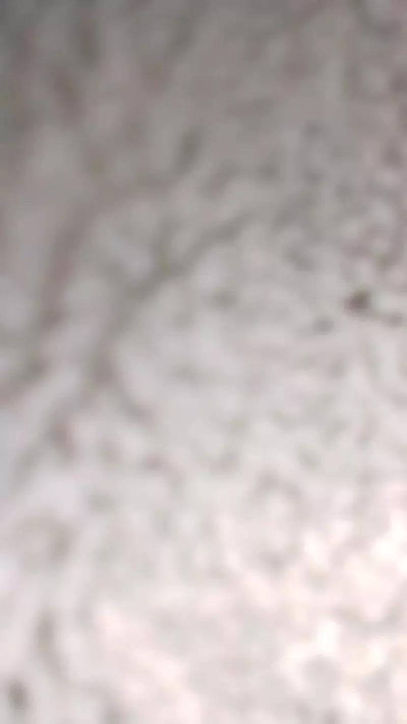 Meneguete on Cam4 