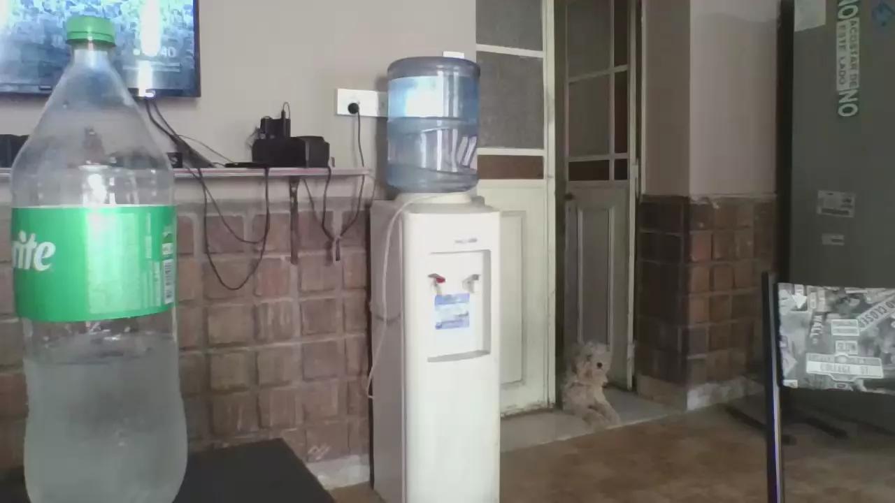 moro_arenita on Cam4 