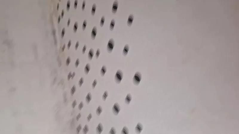 Ninfo_maniaca on Cam4 
