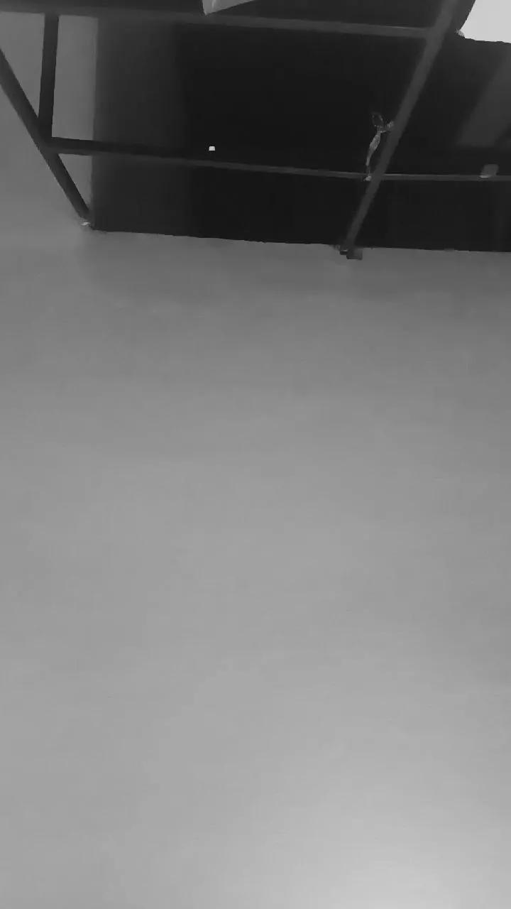 pombita4 on Cam4 