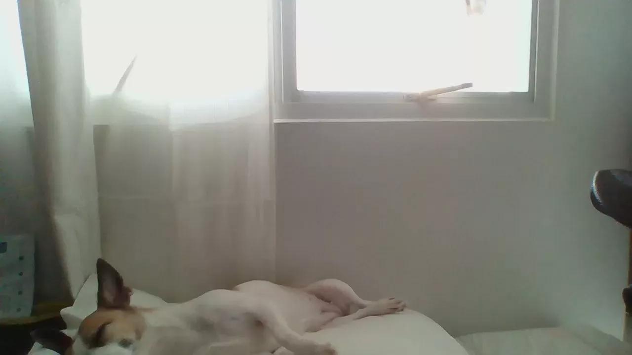 Sweetasian74 on Cam4 