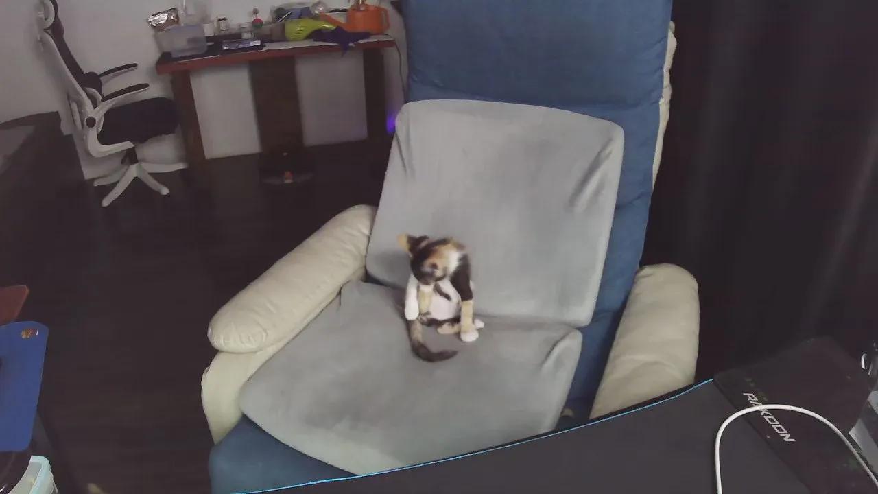 zeenfan on Cam4 