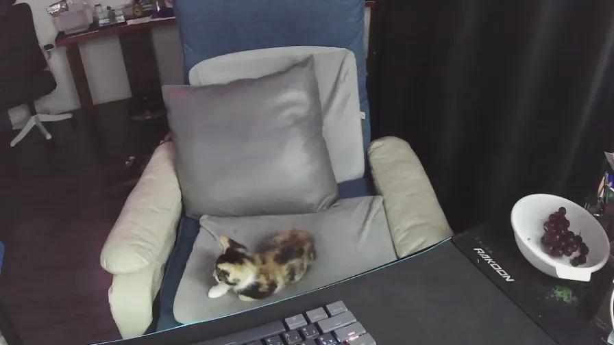 zeenfan on Cam4 