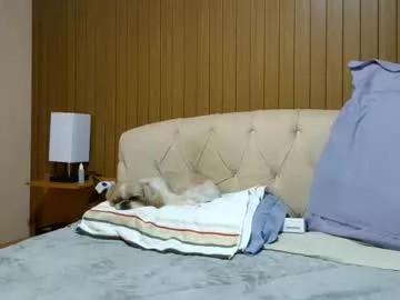 laylabrasil on Chaturbate 