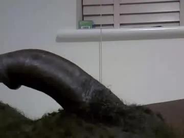 Chaturbate tyroneall is Freechat tyroneall — Whose holes can I breed with this fat dick? #bbc #thickdick #bigballs #daddy