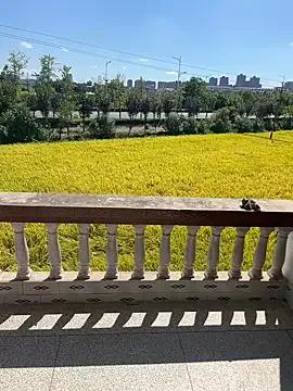 Freechat dachui_168 on StripChat