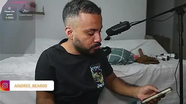 Little_Bear00 on StripChat 